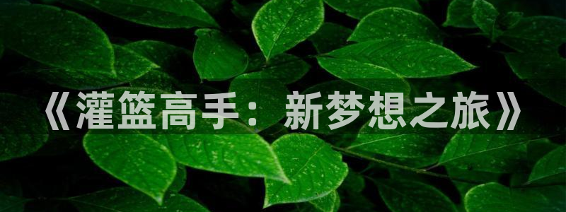 布丁动画官网_布丁动漫